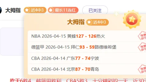 NBA凯尔特人对黄蜂比赛数据解读